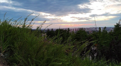 风雅颂易学网:巨蟹座明日星座运势2023年10月31日