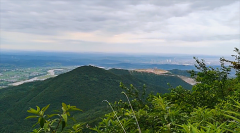 苏珊米勒每日星座：运势2023年11月1日