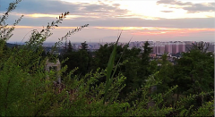 风雅颂易学网：闹闹女巫店今日运势2023年11月2日