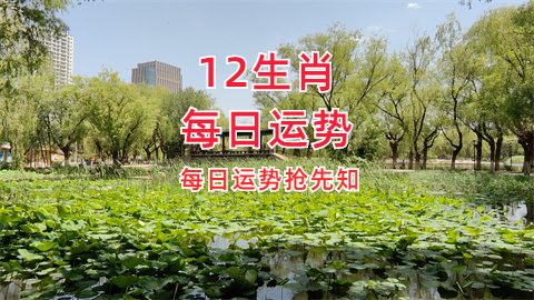 未命名图片 (10).png