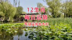 明日生肖运势：2023年11月7日属相小运与特吉生肖