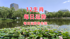 风雅颂易学网：2023年11月7日需要注意的属相有哪些？