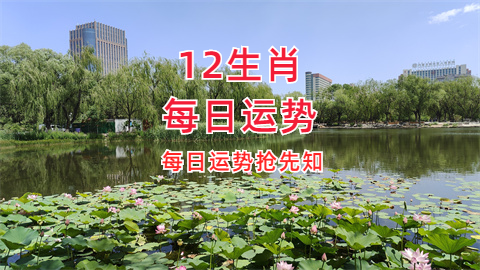 未命名图片 (8).png