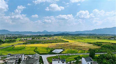 1699543928110178.png 1694424729729.png