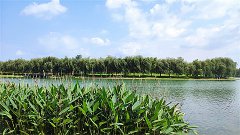 风雅颂易学网：射手座明日星座运势2023年11月12日