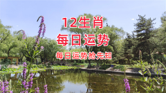 风雅颂易学网：2023年11月12日需要注意的属相有哪些？