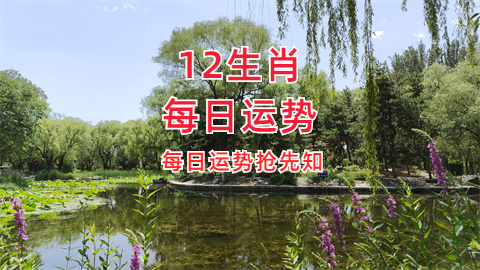 未命名图片 (9).png