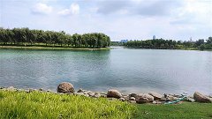 风雅颂易学网：狮子座明日星座运势2023年11月14日