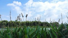 风雅颂易学网：水瓶座明日星座运势2023年11月14日