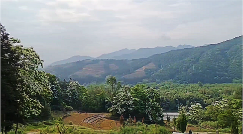 1699890500886971.png 1694425908595.png