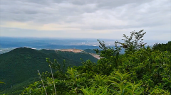 风雅颂易学网：星座女神每日星座运势2023年11月17日