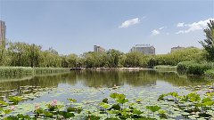 风雅颂易学网：Ezoey徐佩玲每日星座运势2023年11月16日