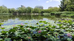 唐绮阳今日星座运势：2023年11月17日