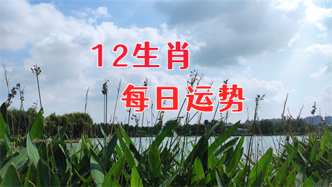 未命名图片 (36).png