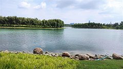 风雅颂易学网：处女座明日星座运势2023年11月30日