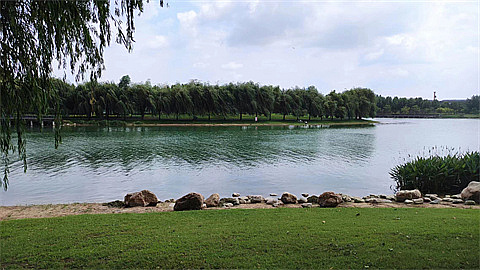 1701963876334573.jpg 072836f9f3eff0b8df8c1a235bd0191.jpg