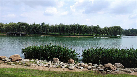 1702083043437418.jpg 6dd9e1d839c2f559ae6d0c033e317a4.jpg