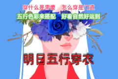 2023年12月21日五行穿衣幸运色指南