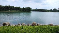 苏珊米勒每日星座运势：2024年1月4日