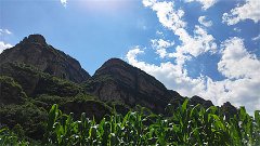 风雅颂易学网:白羊座明日星座运势2024年1月13日