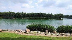 唐绮阳十二星座周末运势：2024年1月20-21日