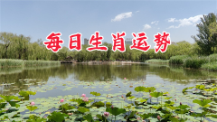 风雅颂易学网：2024年1月26日需要注意的属相有哪些？