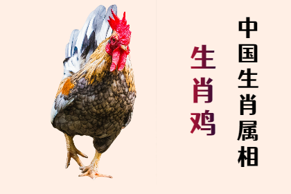 未命名图片 (22).png