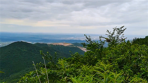 1706707900252096.png 1694424062275.png