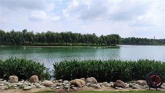 风雅颂易学网：金牛座明日星座运势2024年2月5日