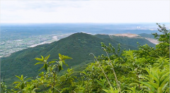 风雅颂易学网：运势君每日星座运势2024年3月1日