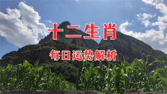 风雅颂易学网：2024年3月2日需要注意的属相有哪些？