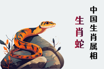 未命名图片 (31).png