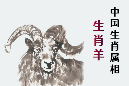 未命名图片 (11).png