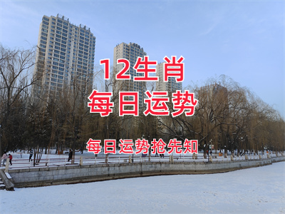 未命名图片 (13).png