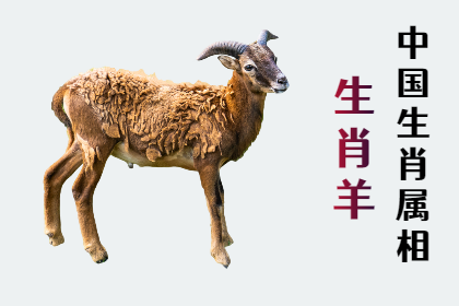 未命名图片 (31).png