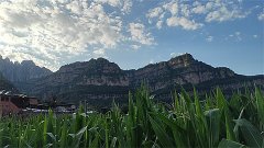 风雅颂易学网:天秤座明日星座运势2024年3月15日