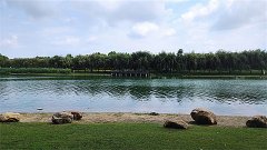 白羊座明日星座运势：2024年4月6日（风雅颂易学网）