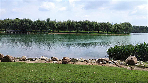 1712851067989488.jpg 9384513f009c495a0c7b004e91c93aa.jpg