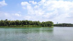 巨蟹座明日星座运势：2024年4月17日（风雅颂易学网）