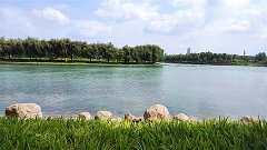 金牛座明日星座运势：2024年5月6日（风雅颂易学网）