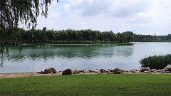 摩羯座明日星座运势：2024年5月6日（风雅颂易学网）