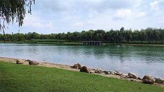 射手座明日星座运势:2024年5月20日(风雅颂易学网)