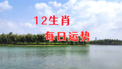 2024年5月21日需要注意的属相有哪些？风雅颂易学网