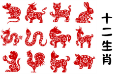 2024年6月3日今日十二生肖运势