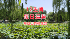 2024年6月5日今日十二生肖运势