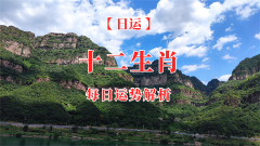 2024年6月11日今日十二生肖运势