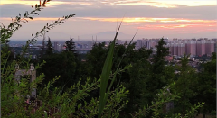 射手座明日星座运势：2024年6月19日（风雅颂易学网）