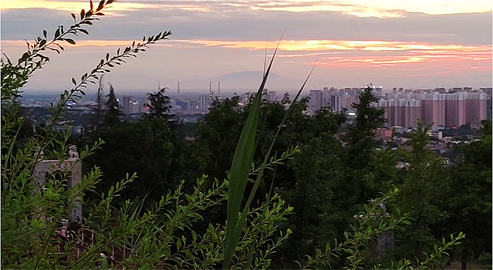 1718722506286771.png 1694426041212.png