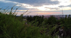 射手座明日星座运势：2024年6月21日（风雅颂易学网）