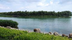 水瓶座明日星座运势：2024年6月22日（风雅颂易学网）